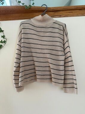 Striped Turtleneck Sweater in Beige and Black